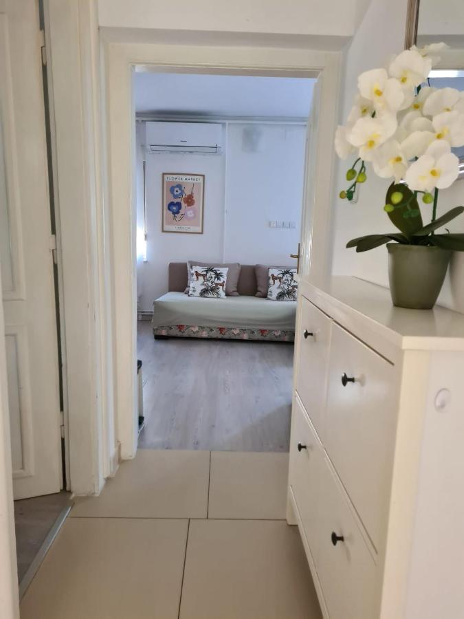 Apartament St Anthony'S House With Parking Zagrzeb Zewnętrze zdjęcie